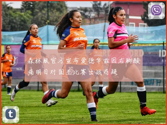 森林狼官方宣布爱德华兹因右脚酸痛明日对国王比赛出战存疑