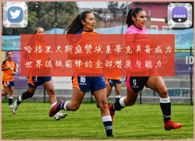 哈格里夫斯盛赞埃基蒂克具备成为世界顶级前锋的全部潜质与能力