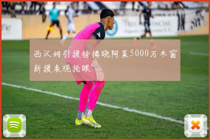 西汉姆引援榜揭晓阿莱5000万冬窗新援表现抢眼