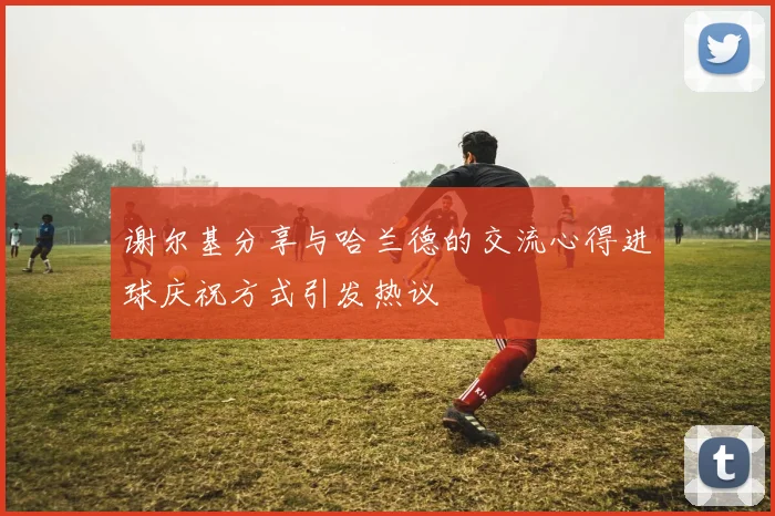 谢尔基分享与哈兰德的交流心得进球庆祝方式引发热议